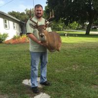 Trophy Deer mount