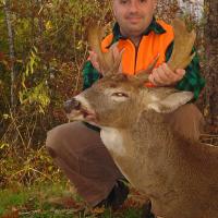 NH Whitetail