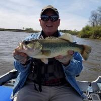 largemouth Bass