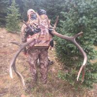 Packin' Out an Elk