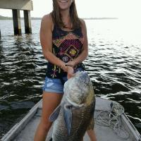 Morgans Black Drum