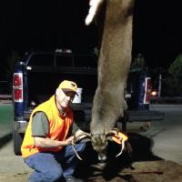 9 Point Buck