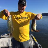 Lake Bass