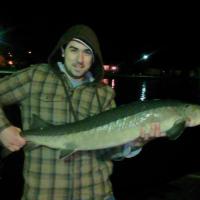 Sturgeon 575715 10151637101080733 1453202246 n