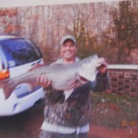 Striper