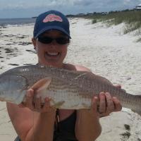 Red Drum
