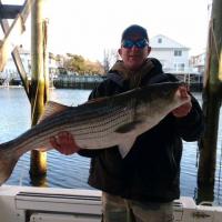 Big Striper