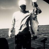 Freshwater Drum