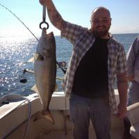 Catching Shad off of Hammonasset
