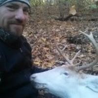 Albino Buck