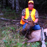 Hunting Elk in Ontario