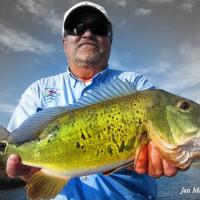Moser2013hero Peacock Bass