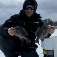 Northern Wisconsin Bull Blue Gills