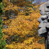 Old Man On The Mountain