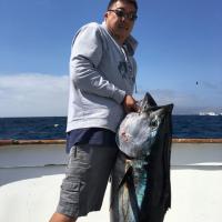 Tuna Fishing