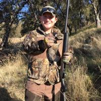 Quail Hunting