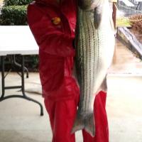 super stripe