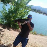 Bass Catch of the Day