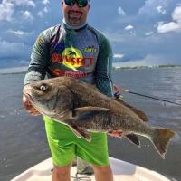 Black Drum