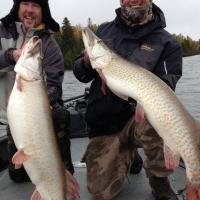 Doubled Up at AML