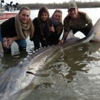 The Sturgeon Team