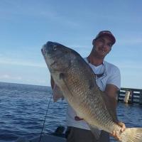 Nice Drum Catch