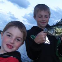 Black Crappies From Shore
