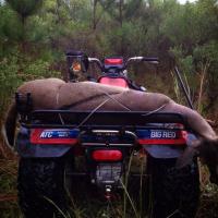 Deer harvest Arkansas
