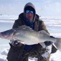 Lake Erie Walleye