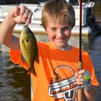 Fall Bluegill From The Dock