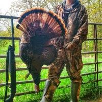2015 Missouri Spring Turkey Hunt