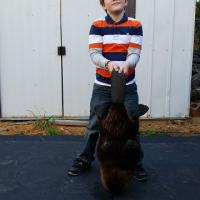 fall beaver 2
