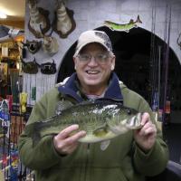 Fish Winner