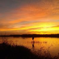 Hunting Sunrise