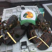 Lobster Fishing!!