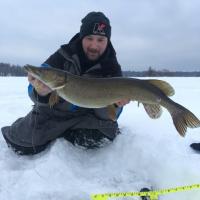 Silver Pike