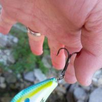 Ouch! Fish Hook