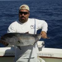 30 lb Amberjack - Gulf of Mexico