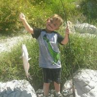 Dinasaurs & Catfishing