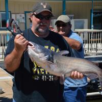 Blue Catfish From Truman Lake