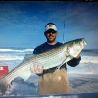 Striper
