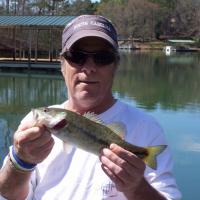 Bass