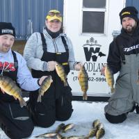 Devils Lake North Dakota Perch