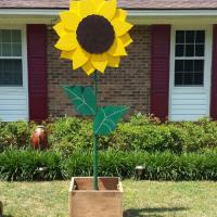 Sunflower that never dies