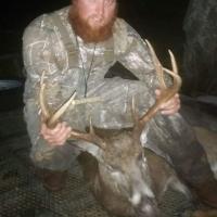 Nice Buck