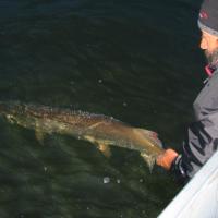 Catch & Release fishing