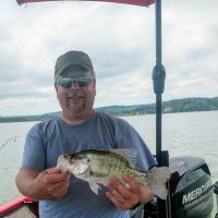 Douglas Lake Crappie