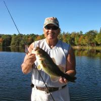 Bass