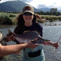 Salmon in Alaska