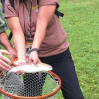 Loretta's Gone Fishing for Trout